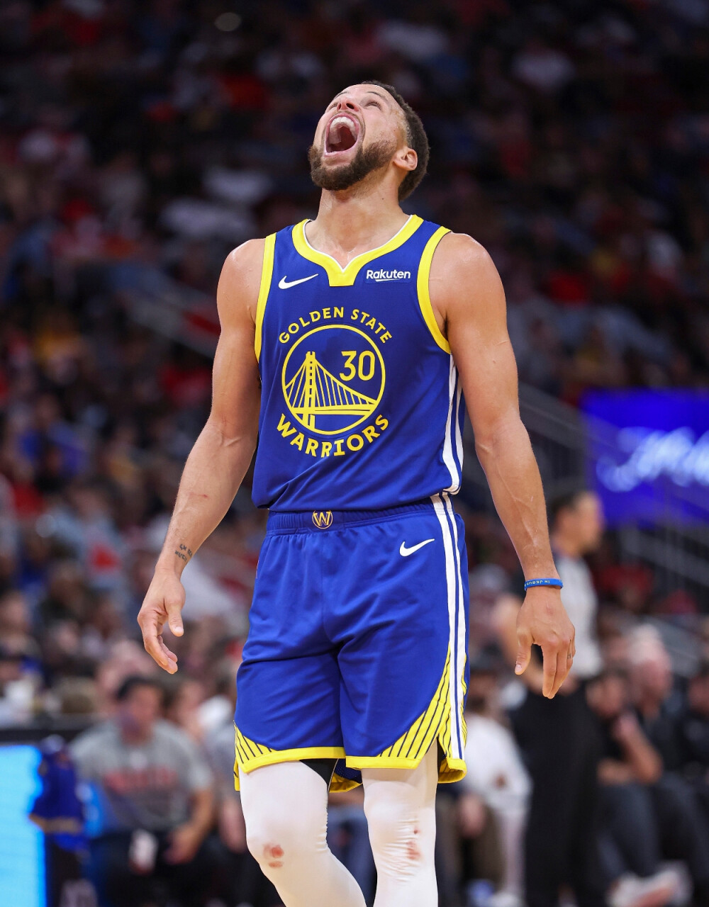 也充分展示 也充分展示