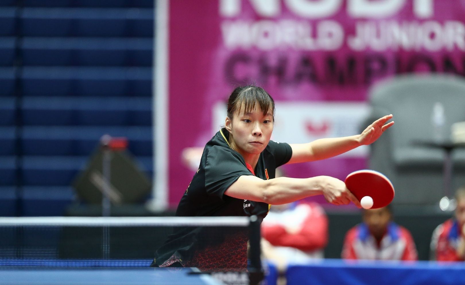 整篇内容对 整篇内容对